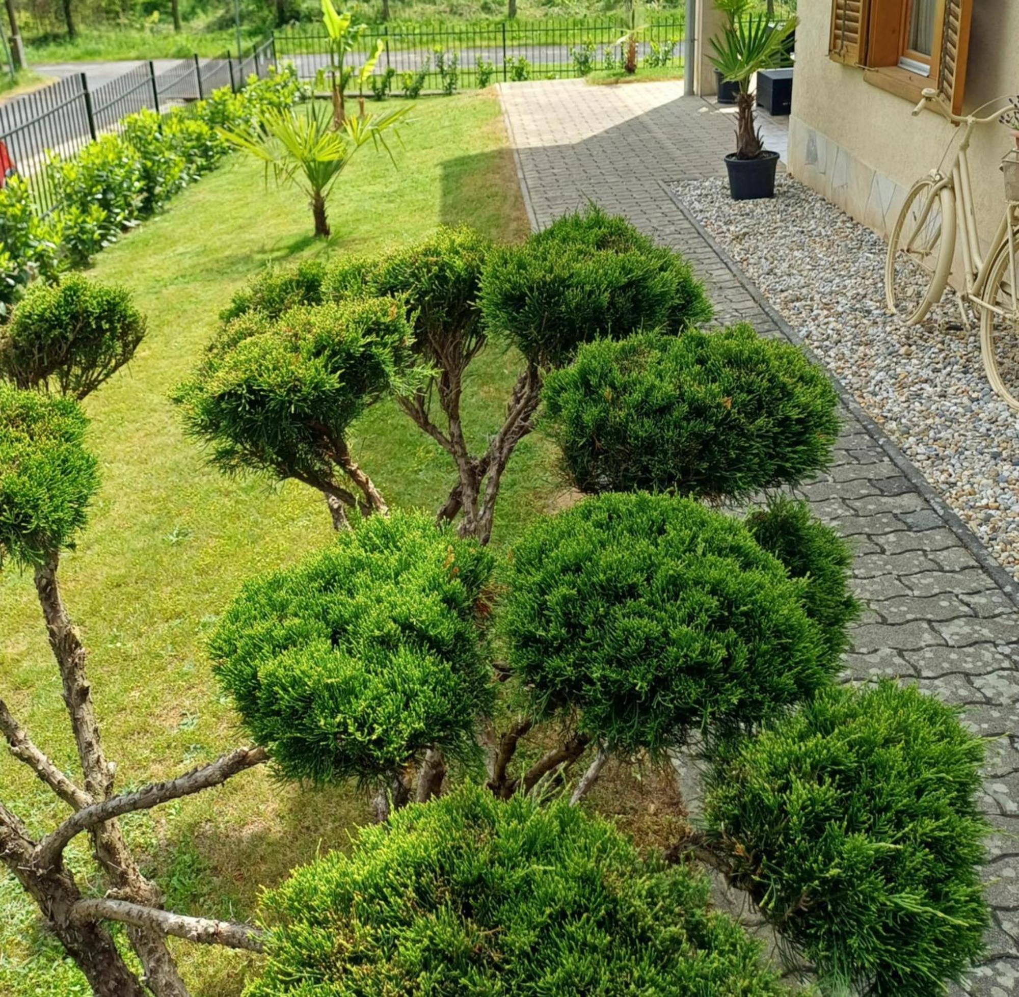 Mediterran Apartman Zalakaros Esterno foto